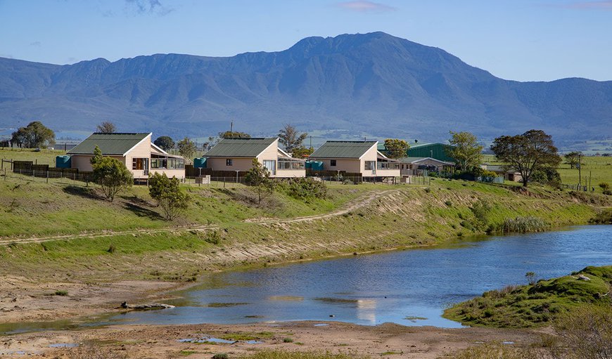 Wind down and relax in our newly built log cabins. The units are fully set up for self catering.