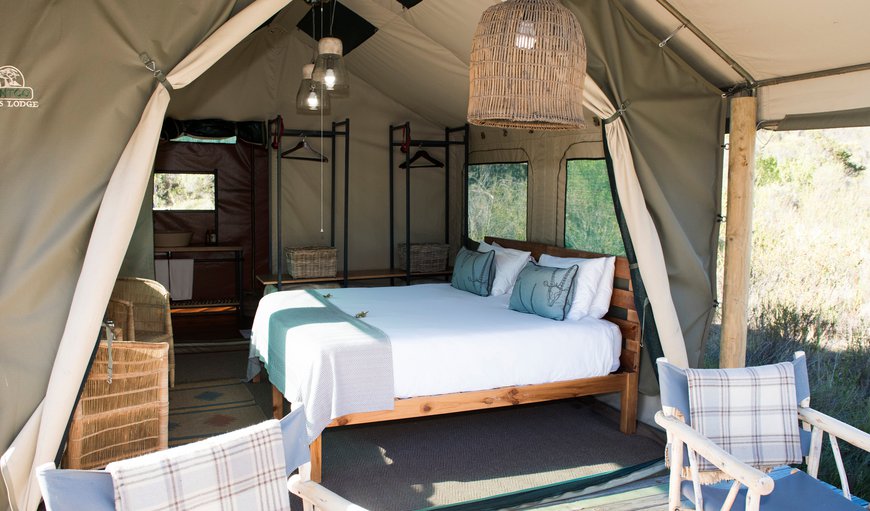 TENTED ECO CAMP - 5 night programme: Eco Camp Fly Tent