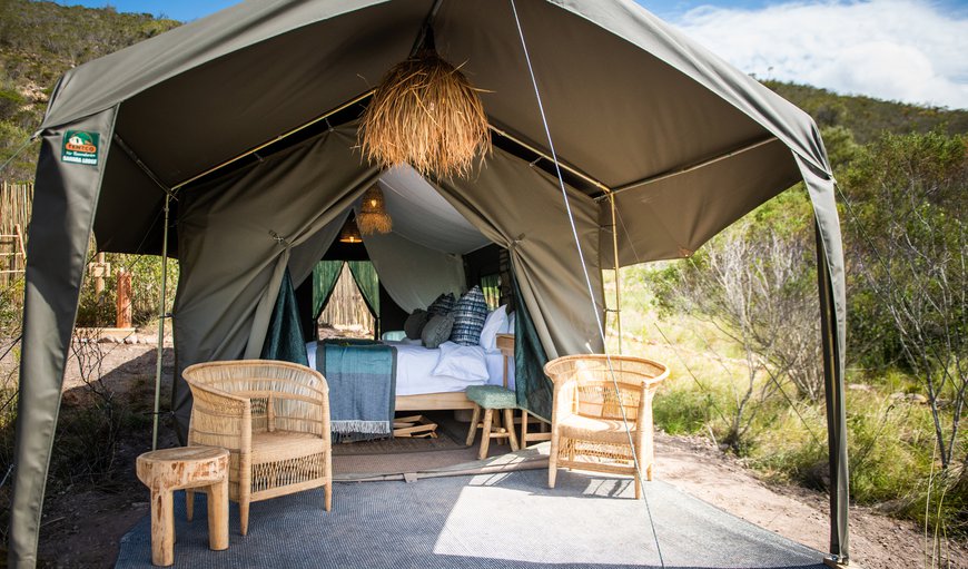 PIONEER TRAIL: Mozambique Themed Camp