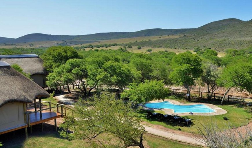 Welcome to Garden Route Safari Camp in Brandwag, Western Cape, South Africa