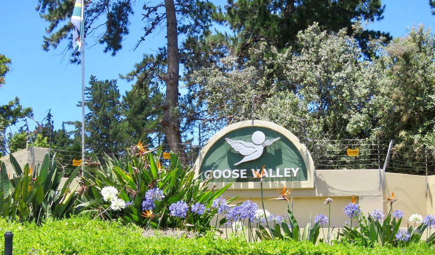 Welcome to Goose Valley in Plettenberg Bay, Western Cape, South Africa