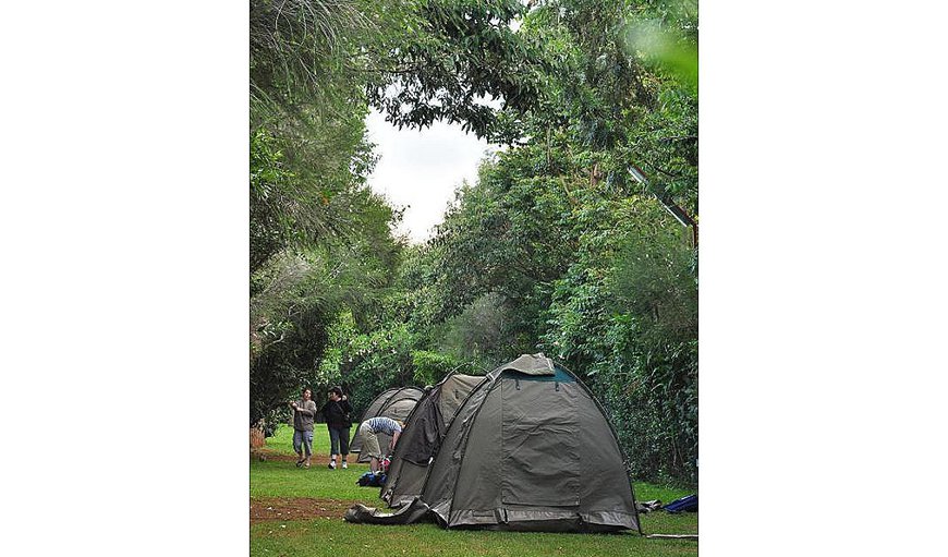 Camping: Camping