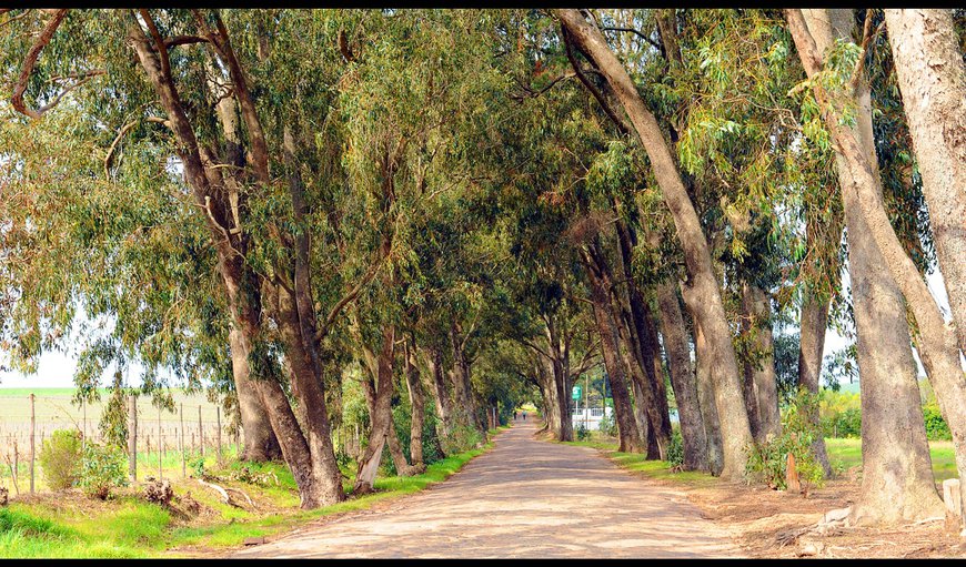 Entrance to farm