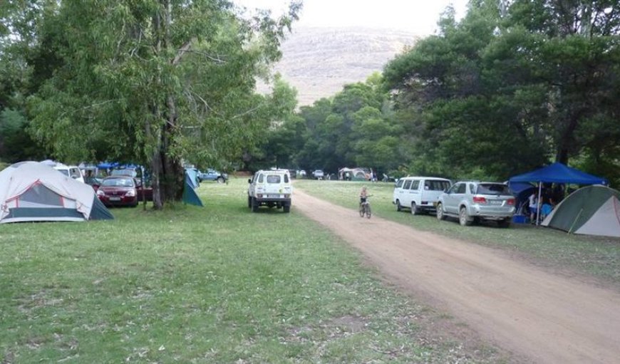Camping: Camping sites