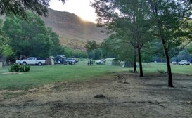 Jamaka Organic Farm - Camping image
