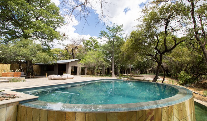 Guests can relax all day around the sparkling swimming pool surrounded by the magnificent bushveld
