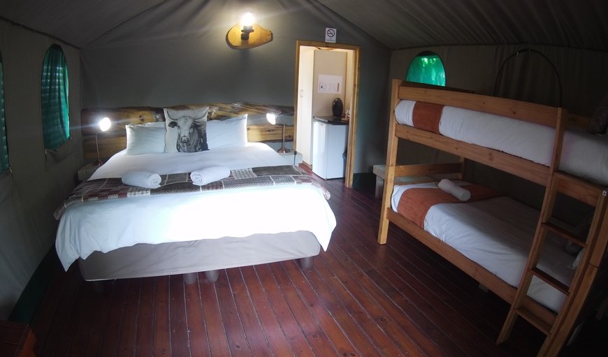 Family Luxury Tent : Family Luxury Tent - Bedroom
