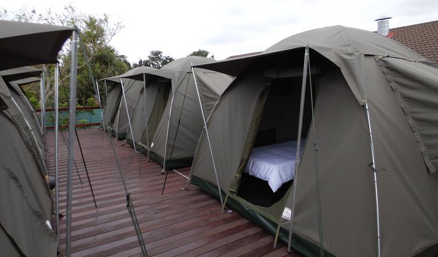 TWIN  DOME TENTS : Twin Dome Tents