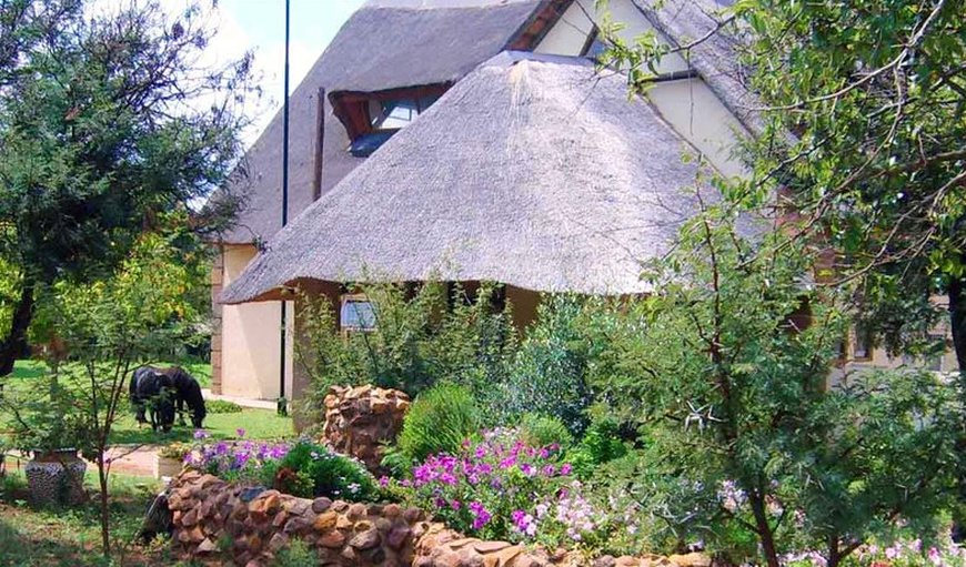 Welcome to The Gecko Inn in Potchefstroom, North West Province, South Africa
