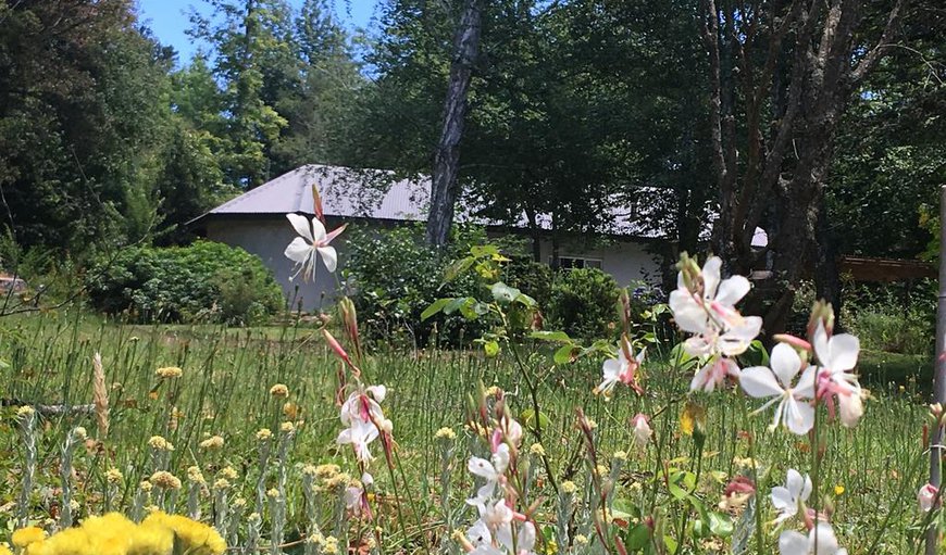 The cottage is surrounded by beautiful gardens and flowers