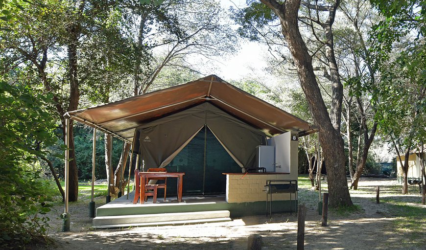 Camping2Go- 4 bed tents: Outside view of your Glamping tent