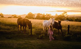 Fernhill Guest Farm and Tented Treehouses image