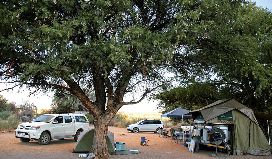 Canyon Roadhouse Campsite