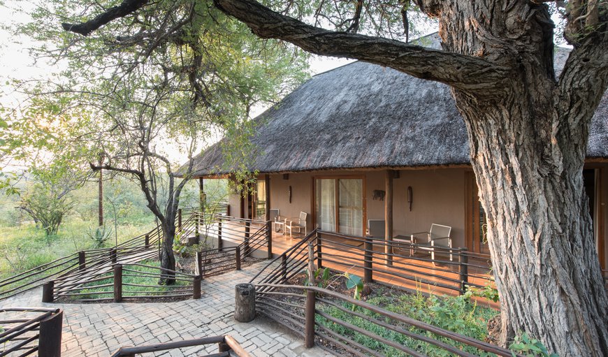 Welcome to Toro Yaka Bush Lodge in Mica, Hoedspruit, Limpopo, South Africa