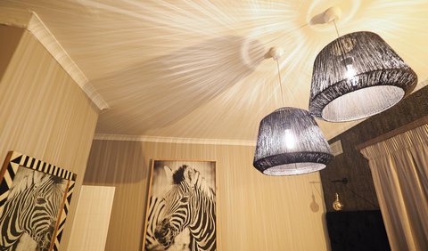 Zebra Room: Lighting
