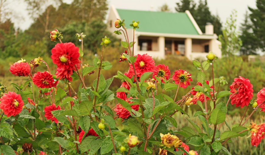 Trengwainton Cottage