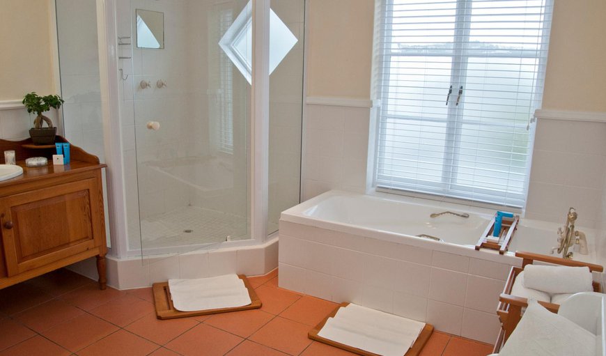 Luxury suite: Luxury suite - En-suite bathroom