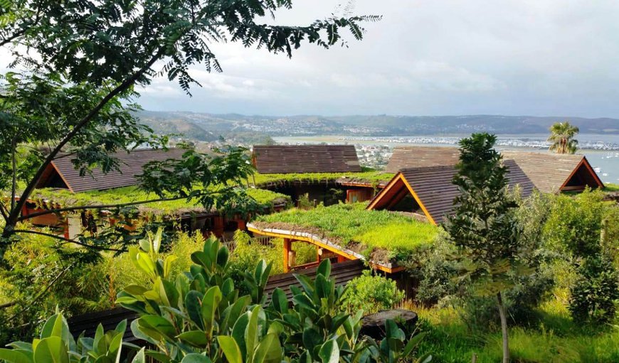 Paradise Private...our unique, organic, indigenous planted living roofs...