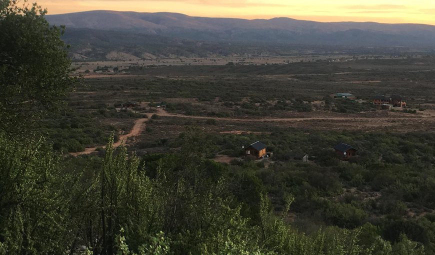 Welcome to Klein Karoo Game Lodge in Oudtshoorn, Western Cape, South Africa