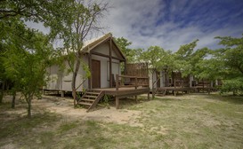 Nkambeni Safari Camp image