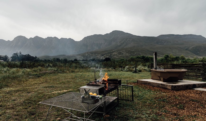 Welcome to Bokriver Cottages in Greyton, Western Cape, South Africa