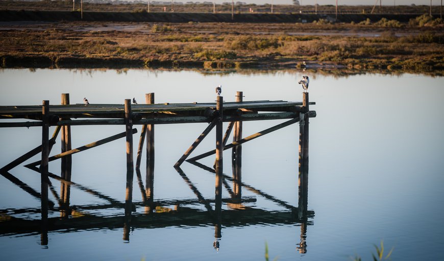 The jetty next to the River