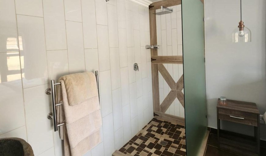 Standard Queen Room: Bathroom
