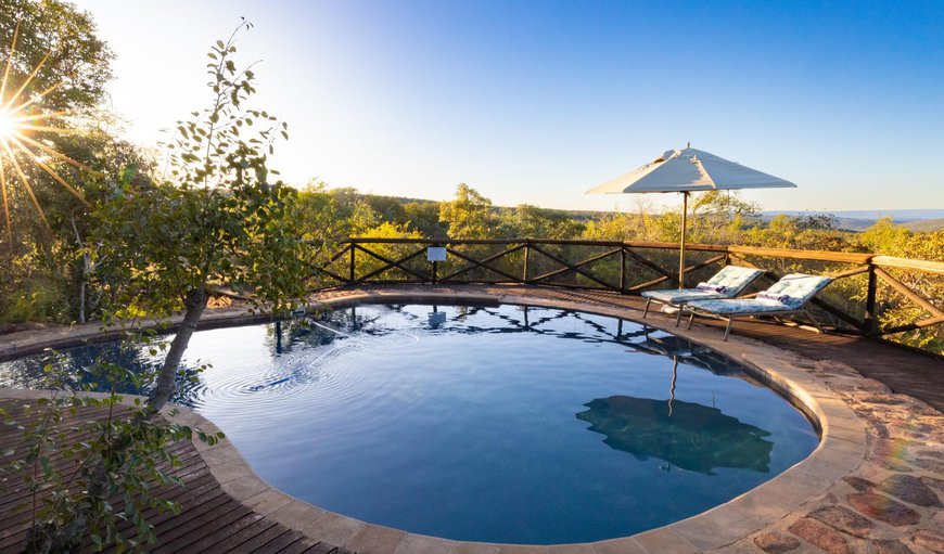 Swimming pool in Vaalwater, Limpopo, South Africa