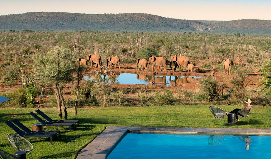 Welcome to Madikwe Safari Lodge in Madikwe Reserve, North West Province, South Africa