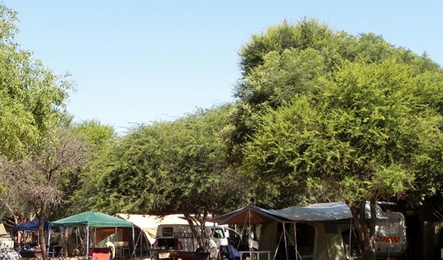 Standard Stand 11 / Paving - This site has braai facilities, shared ablution facilities, but no shade Standard Stand 11 / Paving - This site has braai facilities, shared ablution facilities, but no shade