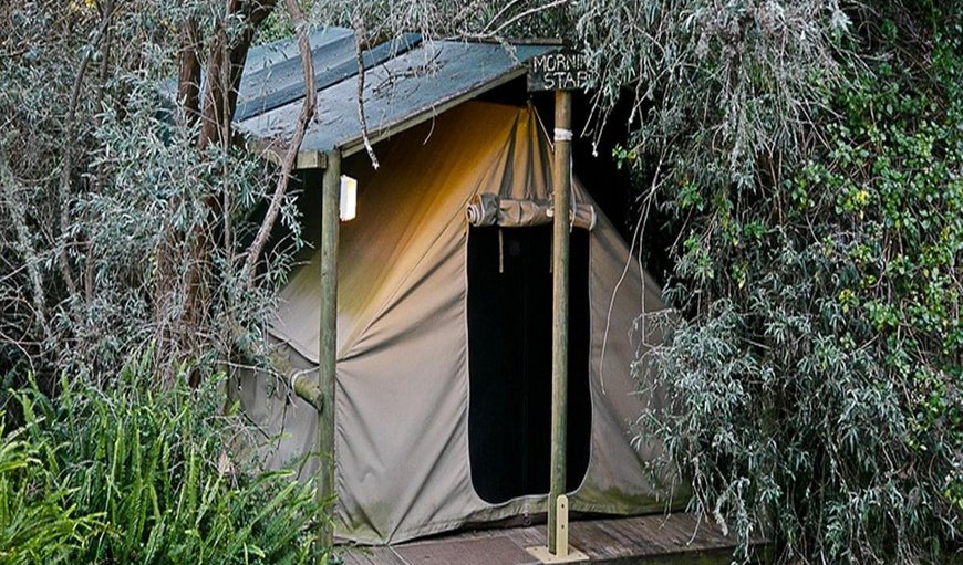 Deep Forest Tent: Deep Forest Tent - Each tent can accommodate 2 guests