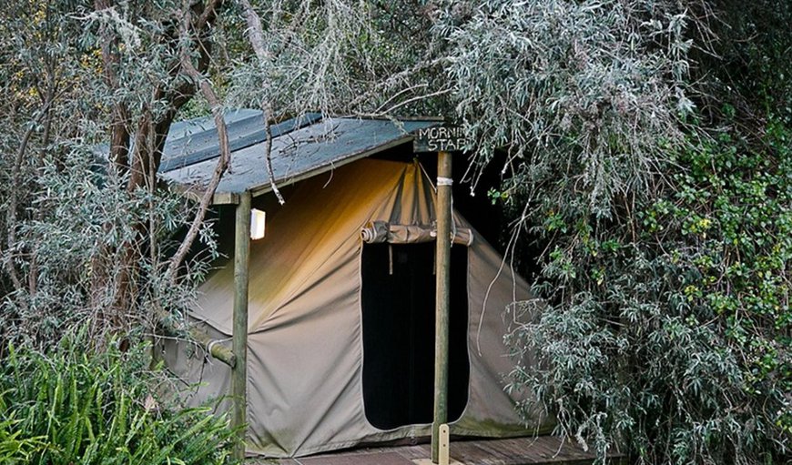 Morning Star Forest Tent: Morning Star Forest Tent - Each tent can accommodate 2 guests