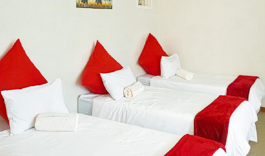 Unit 3 - There are 4 single beds in the first room and a double bed with a sofa bed in the second room Unit 3 - There are 4 single beds in the first room and a double bed with a sofa bed in the second room