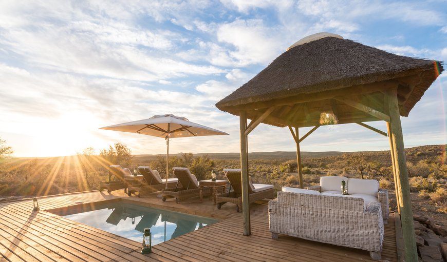 Welcome to Roam Private Game Reserve! in Prince Albert, Western Cape, South Africa
