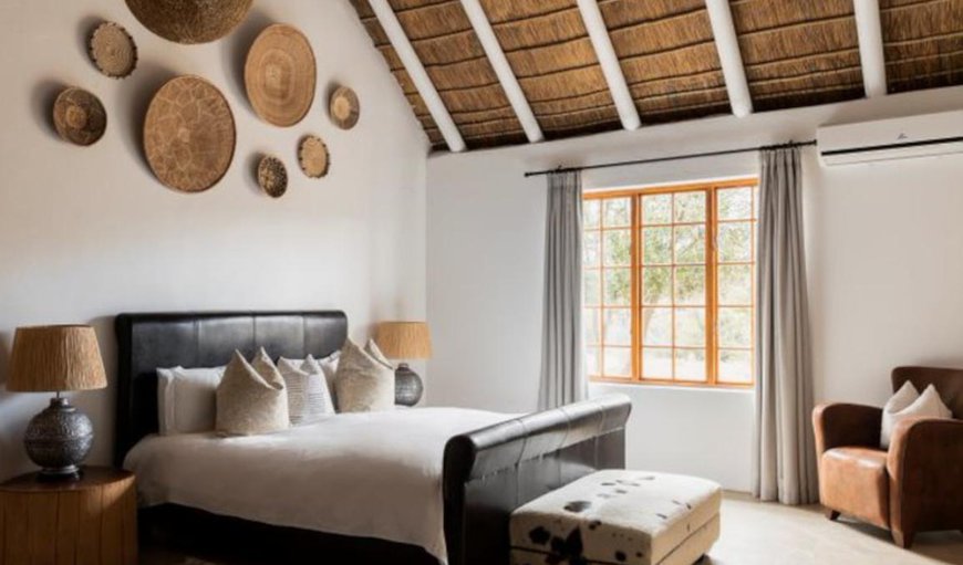 Safari Suite: Safari Suite