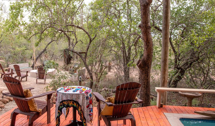 Welcome to Calabash Safari Lodge! in Marloth Park, Mpumalanga, South Africa