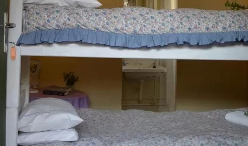 Budget Family: Budget Family - This room has a queen size bed and a bunk bed