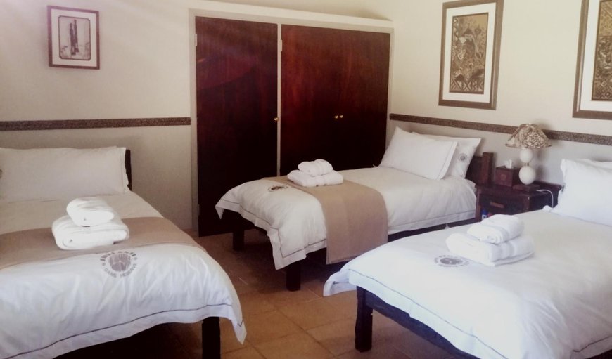 Warriors: Warriors - This bedroom offers 3 single beds