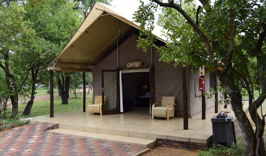 Luxury Tents: Luxury Tents - Beautiful exterior