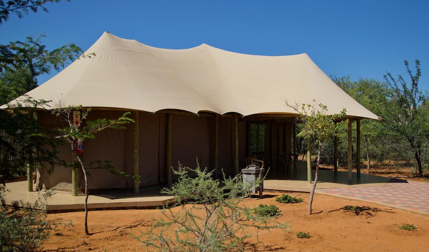 Family Luxury Tents: Family Luxury Tents - This tent offers 2 open plan bedrooms