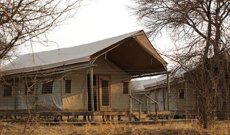 Luxury Safari Tents: Luxury Safari Tents - The tent features a porch with a beautiful bush view