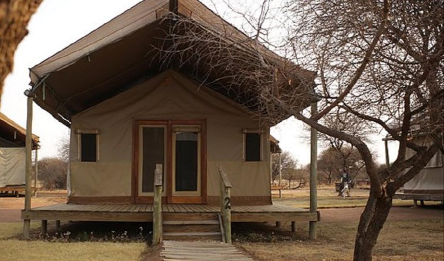 Luxury Safari Tents: Luxury Safari Tents - The tent features a porch with a beautiful bush view