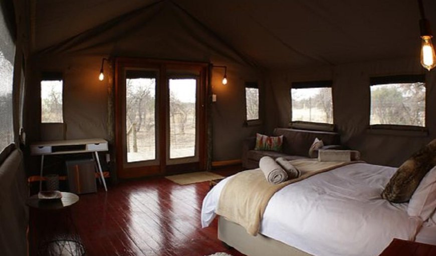 Luxury Family Safari Tents: Luxury Family Safari Tents - The tent is furnished with a queen size bed and a sleeper couch