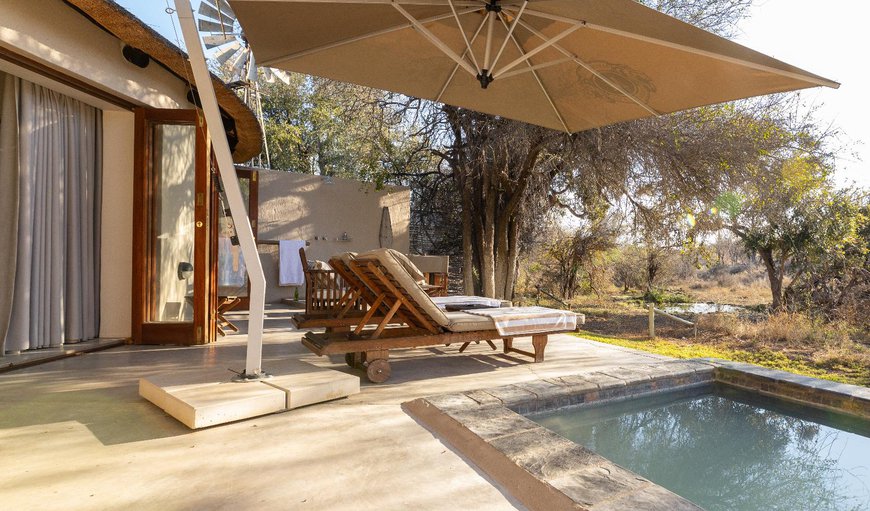 Welcome to Machaton Private Camp! in Hoedspruit, Limpopo, South Africa