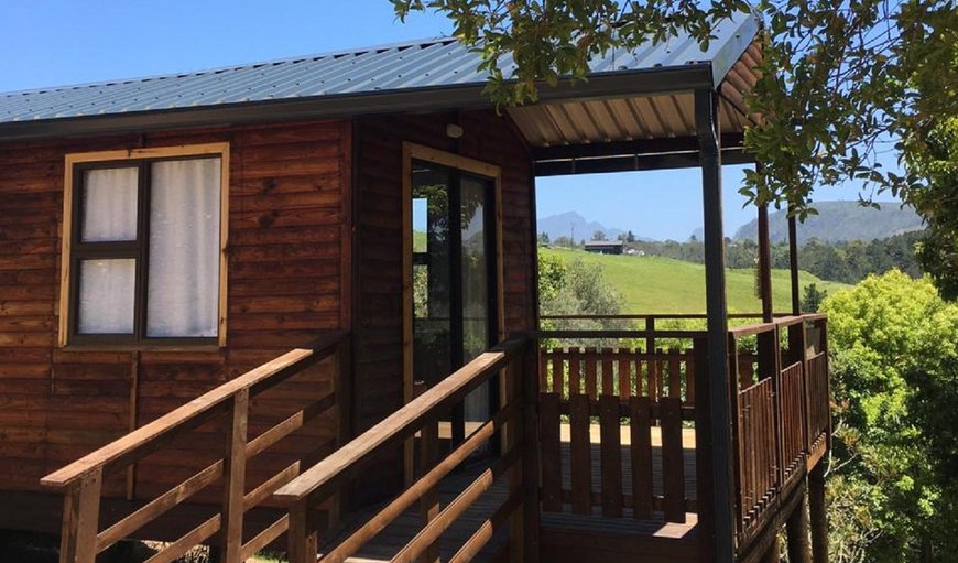 Welcome to Loerie Mountain Cabin in Hoekwil, Western Cape, South Africa