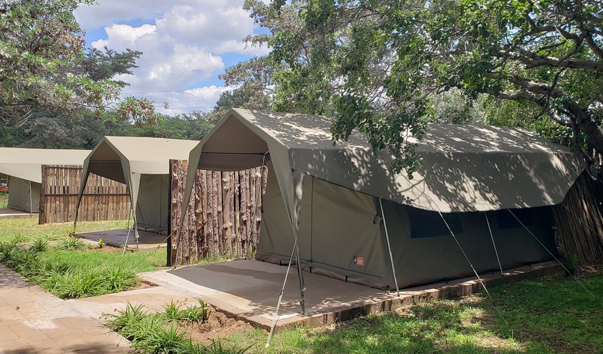 Luxury Safari tents: Luxury Safari Tents - Each tent has 2 single beds that can be converted