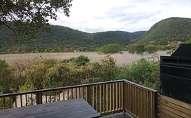 The Wild - Glamping image