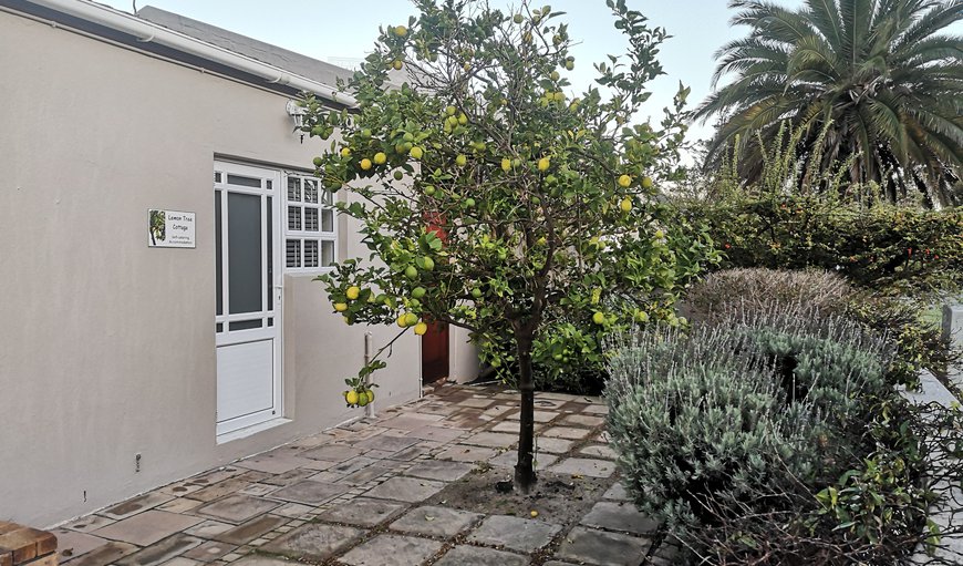 Welcome to Lemon Tree Cottage in Edgemead, Cape Town, Western Cape, South Africa
