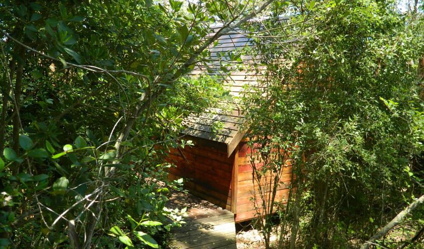 The uniquely built wooden cabins at Fern Gully are set amongst the trees where one can enjoy the serenity of the country and the bird-life in their natural habitat. The uniquely built wooden cabins at Fern Gully are set amongst the trees where one can enjoy the serenity of the country and the bird-life in their natural habitat.