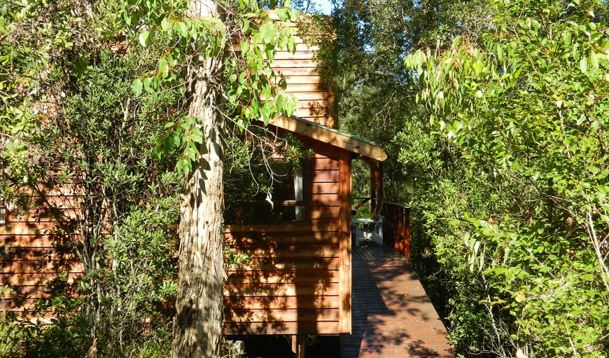 Each cabin is so positioned as to provide optimum privacy and seclusion and as they are built on stilts at the edge of a gorge, give guests the feeling and ambiance of being in the tree tops. Each cabin is so positioned as to provide optimum privacy and seclusion and as they are built on stilts at the edge of a gorge, give guests the feeling and ambiance of being in the tree tops.